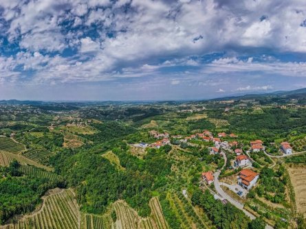 rondreis slovenië highlights julische alpen goriska brda smartno 3