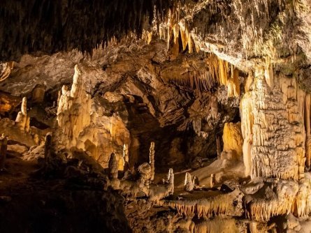 rondreis slovenië highlights julische alpen notranjskokraska postojna