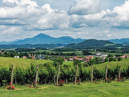 rondreis slovenië highlights julische alpen pomurska slovenske gorice 2