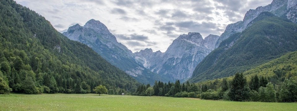 slovenie back to nature rondreis auto goriska slovenie log pod mangartom bergen bossen