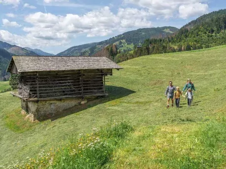 hofe trail meerdaagse wandeltocht gezinnen oostenrijk oostenrijkse alpen etappe 4 ©_peter_maier_hoefe_trail_et04 2