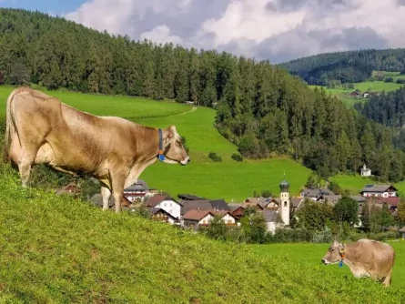 hofe trail meerdaagse wandeltocht gezinnen oostenrijk oostenrijkse alpen karinthie sankt lorenzen