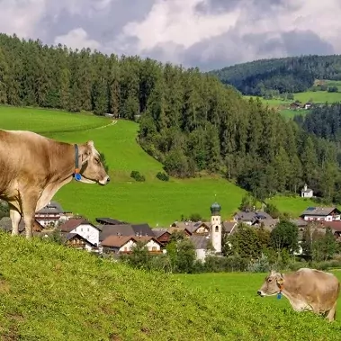 hofe trail meerdaagse wandeltocht gezinnen oostenrijk oostenrijkse alpen karinthie sankt lorenzen