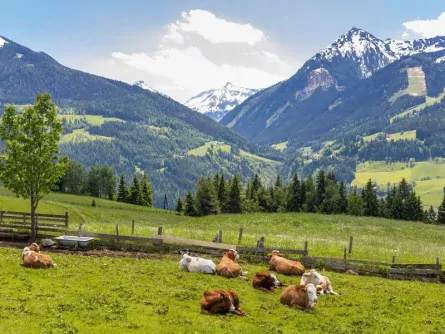 wandelvakantie dachstein oostenrijk oostenrijkse alpen stiermarken schladminger tauern