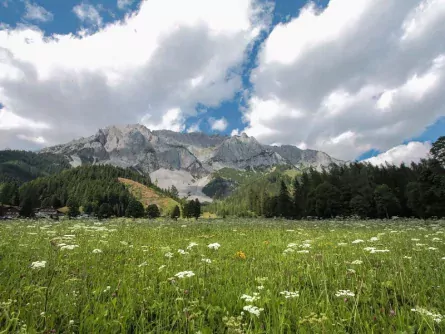 wandelvakantie dachstein oostenrijk oostenrijkse alpen stiermarken ramsau am dachstein 2 (2)