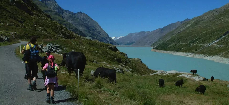 saas grund saasdal (2)