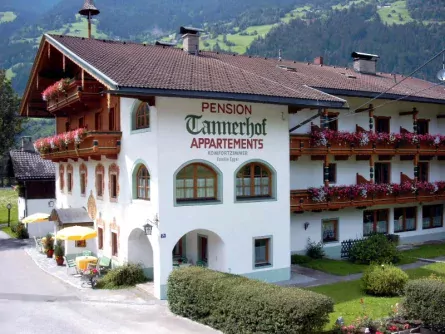 pension tannerhof zell am ziller (2)